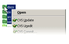 Selected Folders(s)